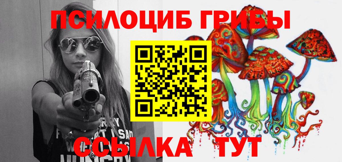 Зеленогорск  Галлюциногенные грибы MAGIC MUSHROOMS  Вход с VPN 